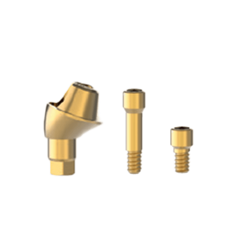 T6 Multi Unit Abutment 17° Ø4.8-GH1.5 - No Hex