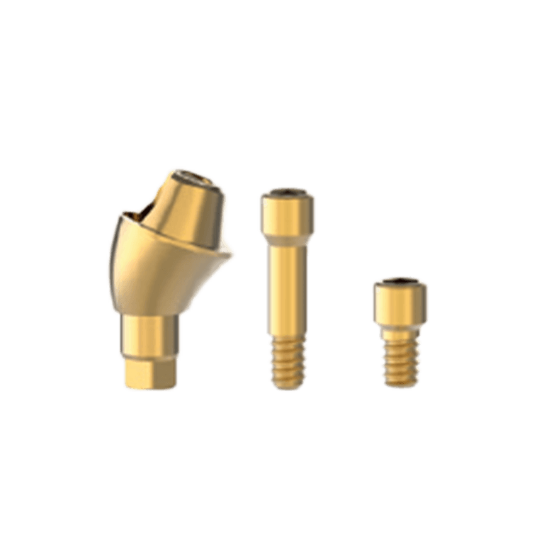 T6 Multi Unit Abutment 17° Ø4.8-GH2.5 - No Hex