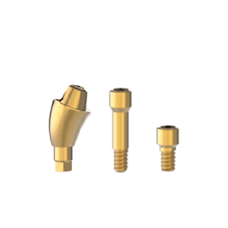T6 Multi Unit Abutment 17° Ø4.8-GH4.0 - No Hex