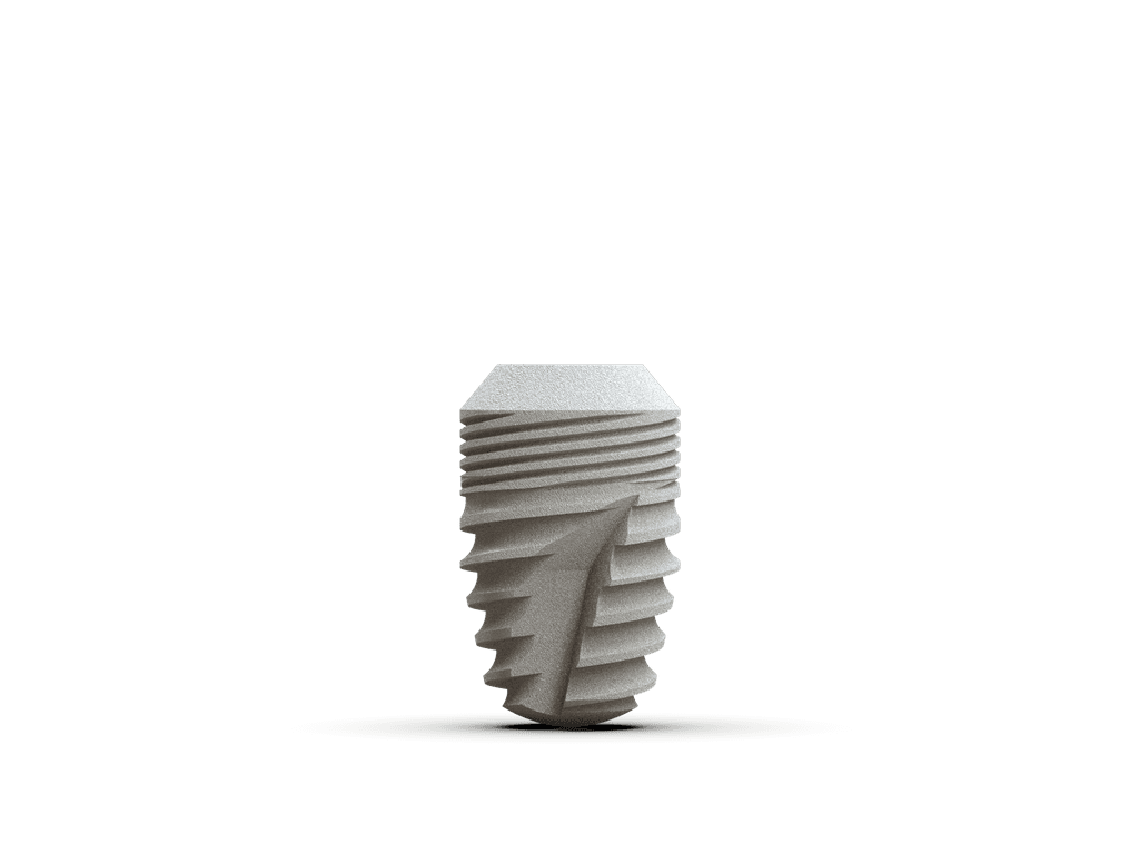 T6 Standard Implant D4.8 X L08