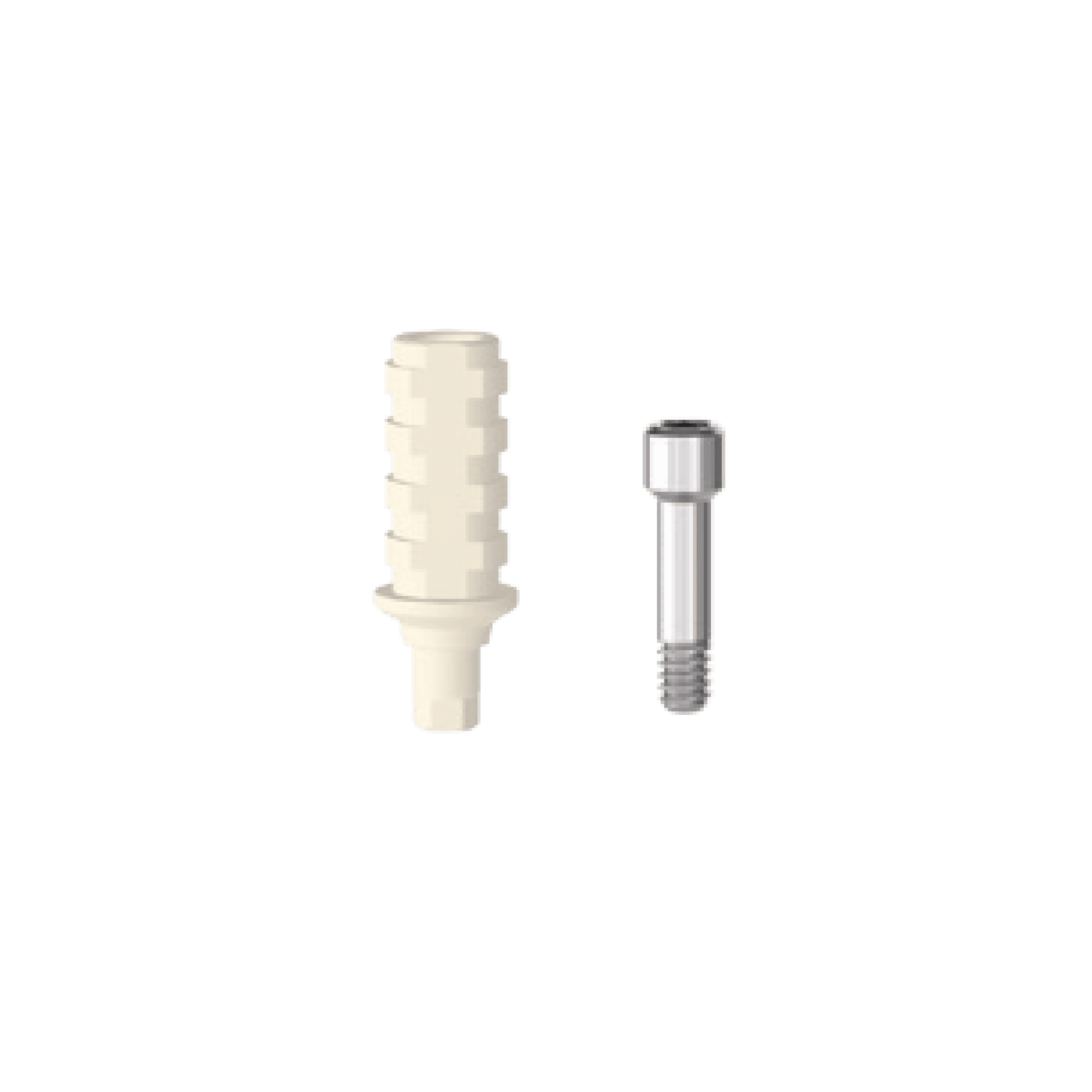 T6 Temporary Abutment Hex